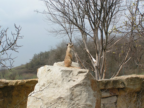 ZOO PRAHA